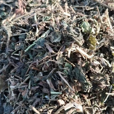 通货薄荷切段儿，装好袋子，