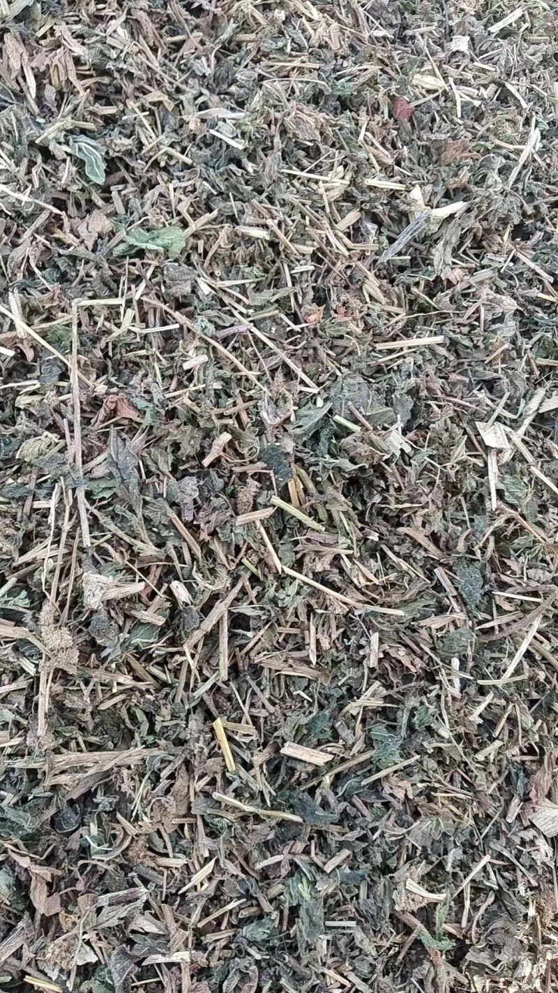 通货薄荷切段儿，装好袋子，