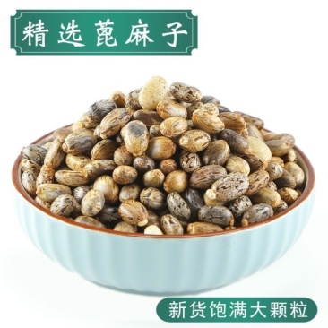 蓖麻子蓖麻仁蓖麻籽蓖麻中药材保证正品
