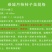 恭城月柿苗（大火晶，红灯笼）嫁接柿子苗可种植果树苗