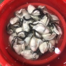 当季潮汕本地本港大白蚝、脆蚝肉，现开现发，火锅必备