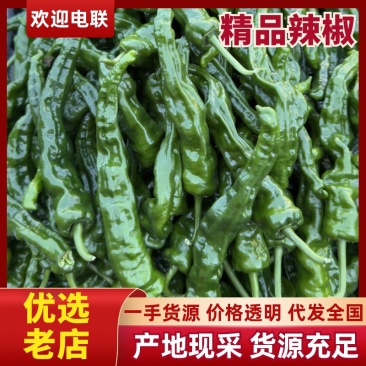 【推荐】皱皮椒、小皱皮，大量供应，质量保证，欢迎来电咨询