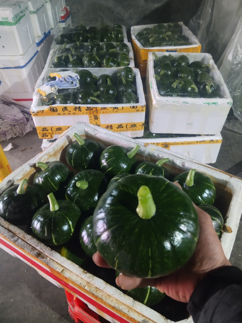 精品南瓜大量上市，嘉兴原产地直供，个型非常好，光泽亮度好