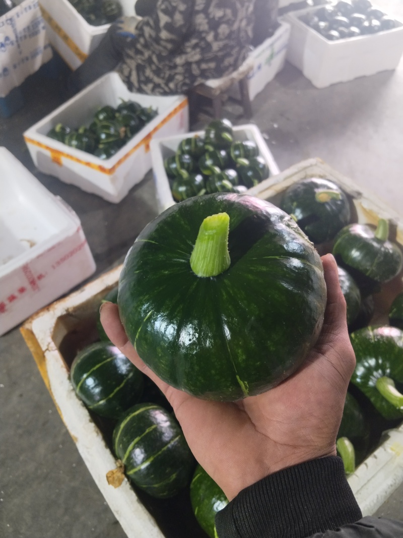 精品南瓜大量上市，嘉兴原产地直供，个型非常好，光泽亮度好