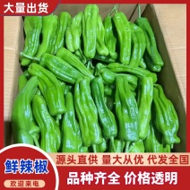 【推荐】芜湖椒、大量有货，一手货源，欢迎来电