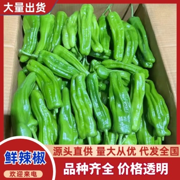 【推荐】芜湖椒、大量有货，一手货源，欢迎来电