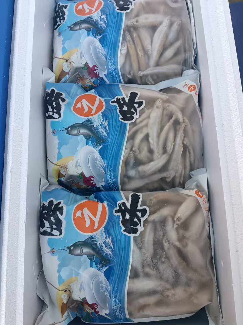 青海省西宁市龙羊峡冰鲜大银鱼