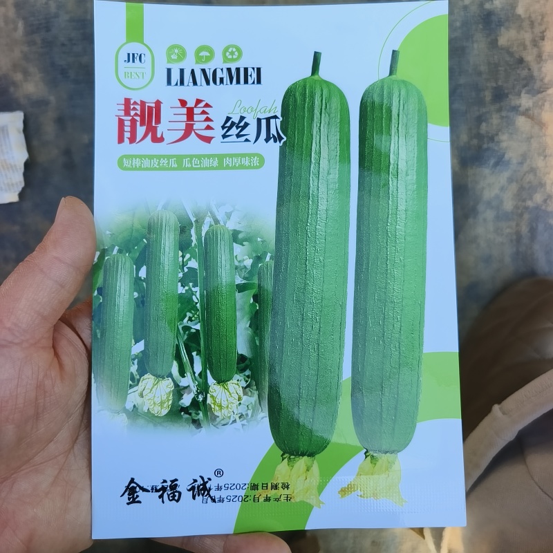 靓美短棒油皮丝瓜种子种籽高产早熟油绿香丝瓜油水瓜种子