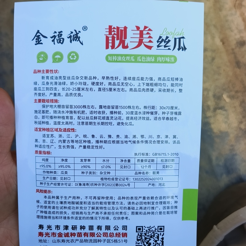 靓美短棒油皮丝瓜种子种籽高产早熟油绿香丝瓜油水瓜种子