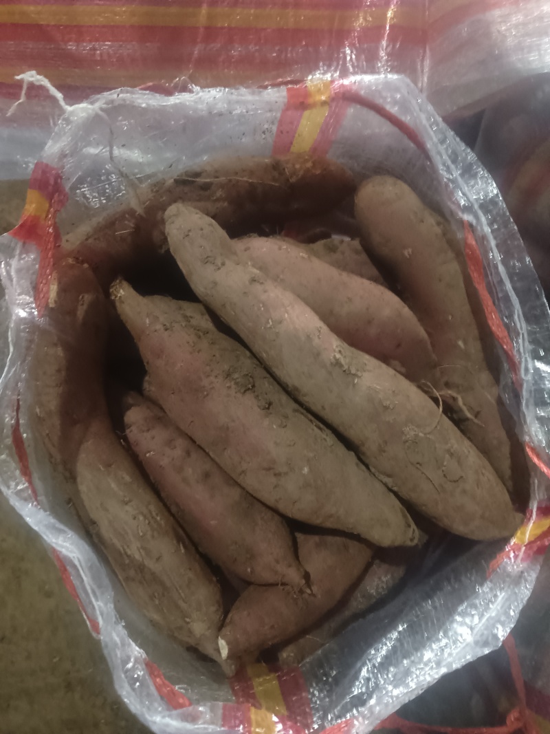 商薯19产地直供，电商货市场货有需要的可以联系