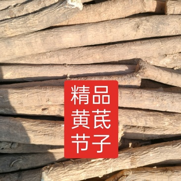 精品黄芪节子