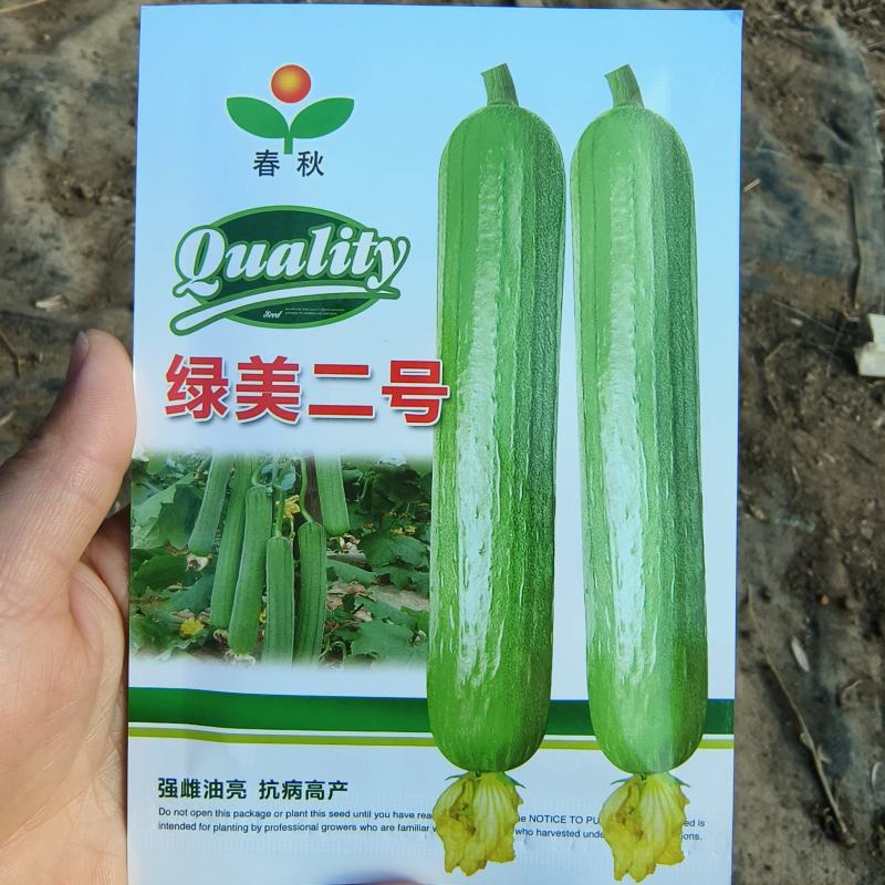 春秋绿美二号短棒油皮丝瓜种籽高产油亮香丝瓜水瓜种子