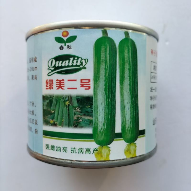 春秋绿美二号短棒油皮丝瓜种籽高产油亮香丝瓜水瓜种子