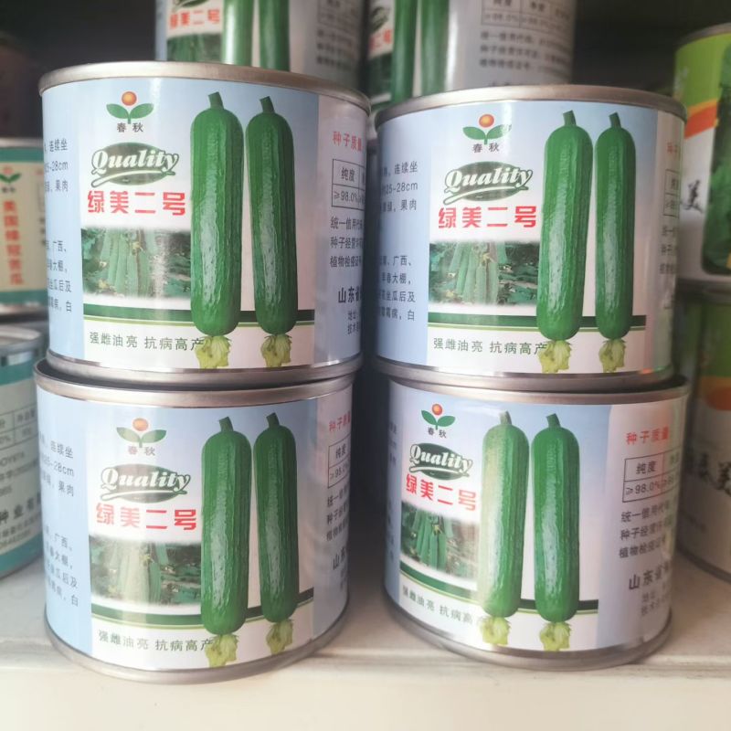 春秋绿美二号短棒油皮丝瓜种籽高产油亮香丝瓜水瓜种子
