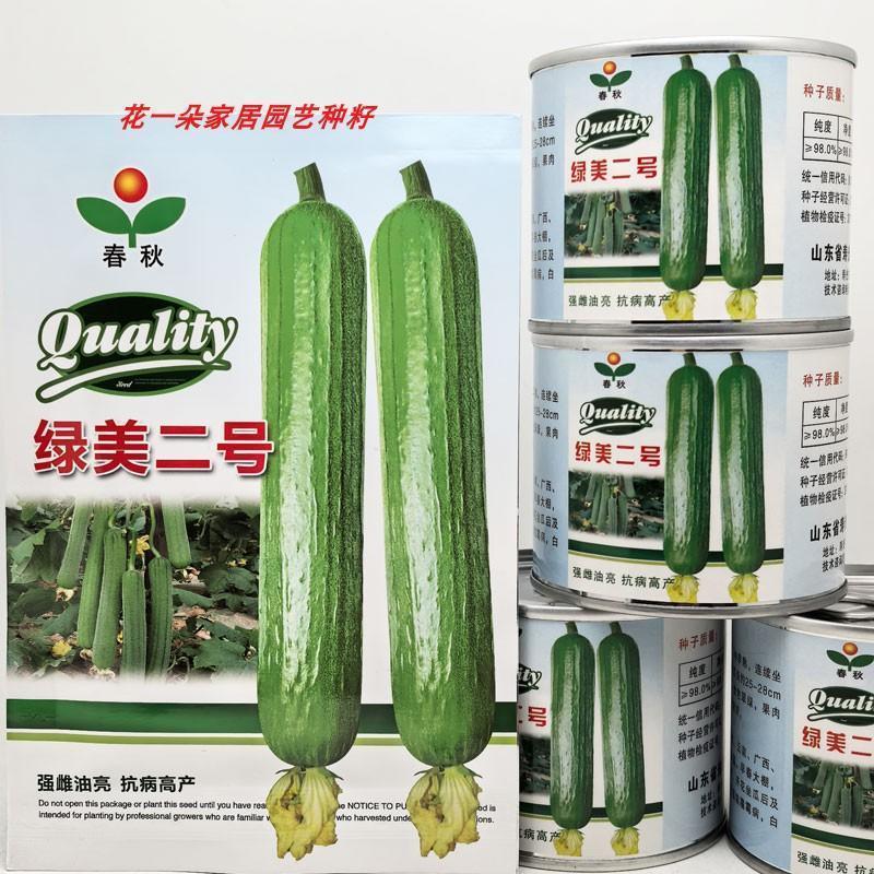 春秋绿美二号短棒油皮丝瓜种籽高产油亮香丝瓜水瓜种子