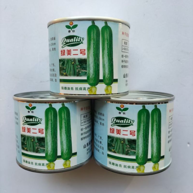 春秋绿美二号短棒油皮丝瓜种籽高产油亮香丝瓜水瓜种子