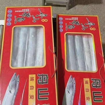 法拉利的品质。精美礼盒装整柜发，9-11条鱼。毛重5.5