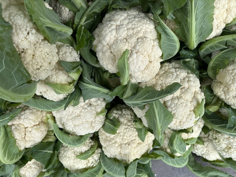 精品有机花菜颜色白净大量上市价格优美
