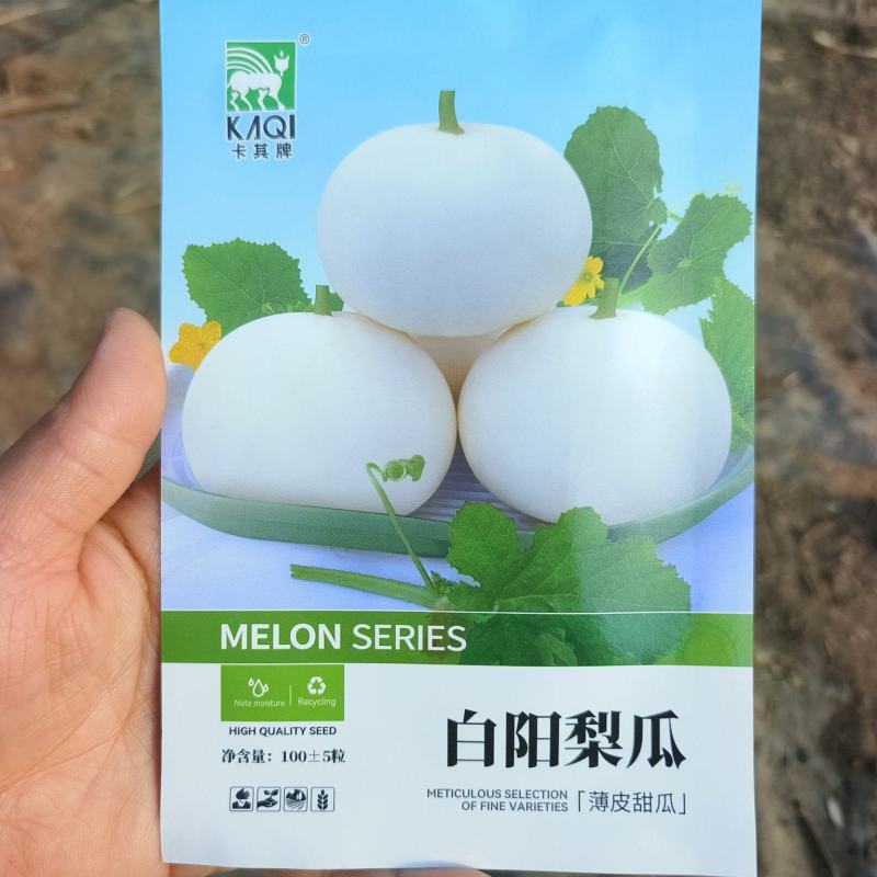 白洋梨甜瓜种子超甜大果甜瓜种子白皮薄皮香瓜种籽春季早熟高