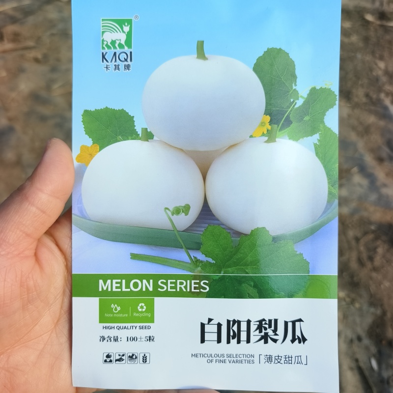 白洋梨甜瓜种子超甜大果甜瓜种子白皮薄皮香瓜种籽春季早熟高