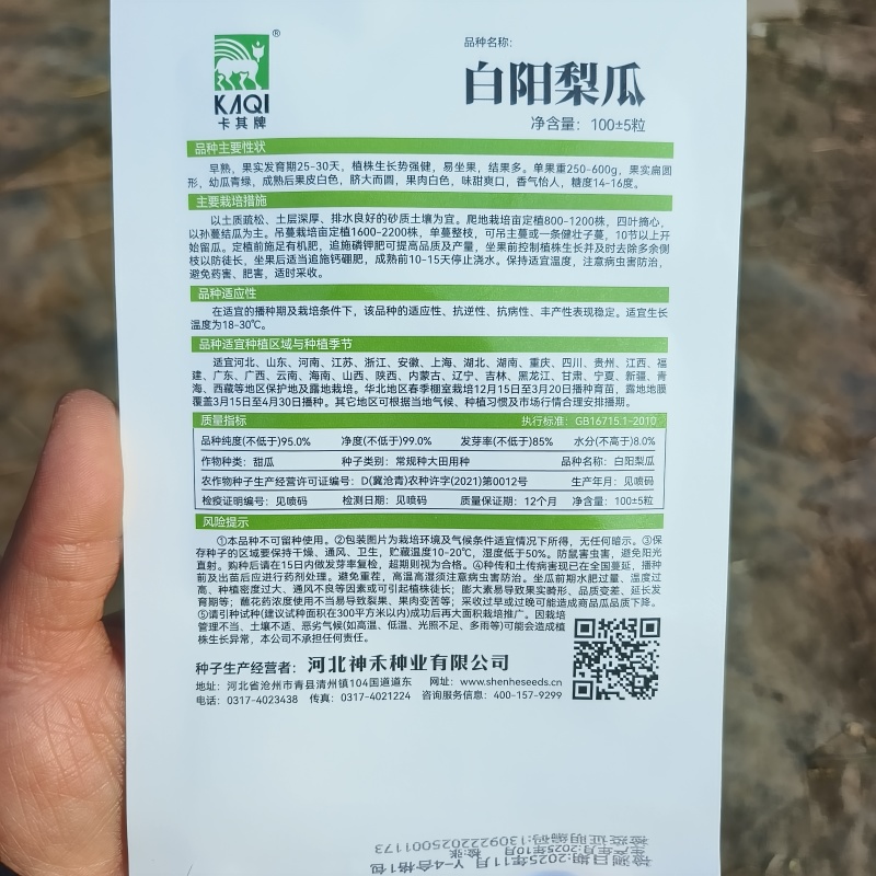 白洋梨甜瓜种子超甜大果甜瓜种子白皮薄皮香瓜种籽春季早熟高