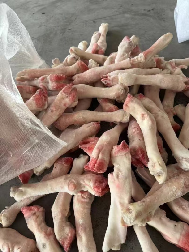 羊蹄