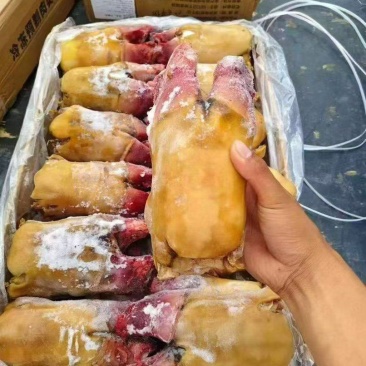 精品火烧牛掌