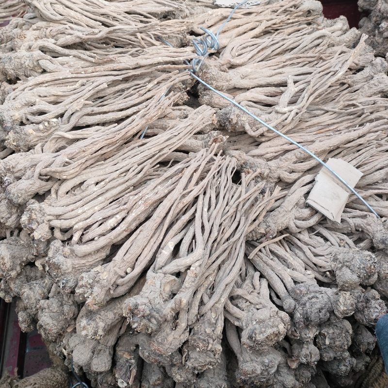甘肃定西岷县中药材货源地直发当归好品质全国发货