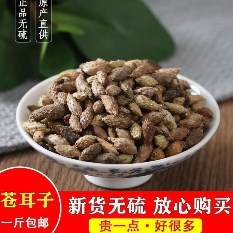 苍耳子带刺苍耳子双尖苍耳子无硫保证正品