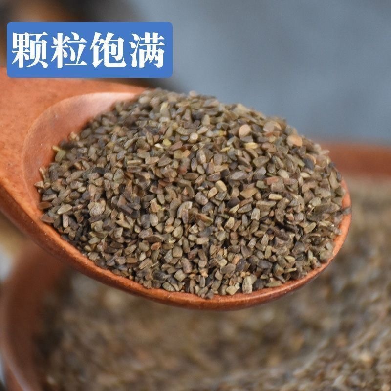 茺蔚子茺卫子中药材正品无熏染