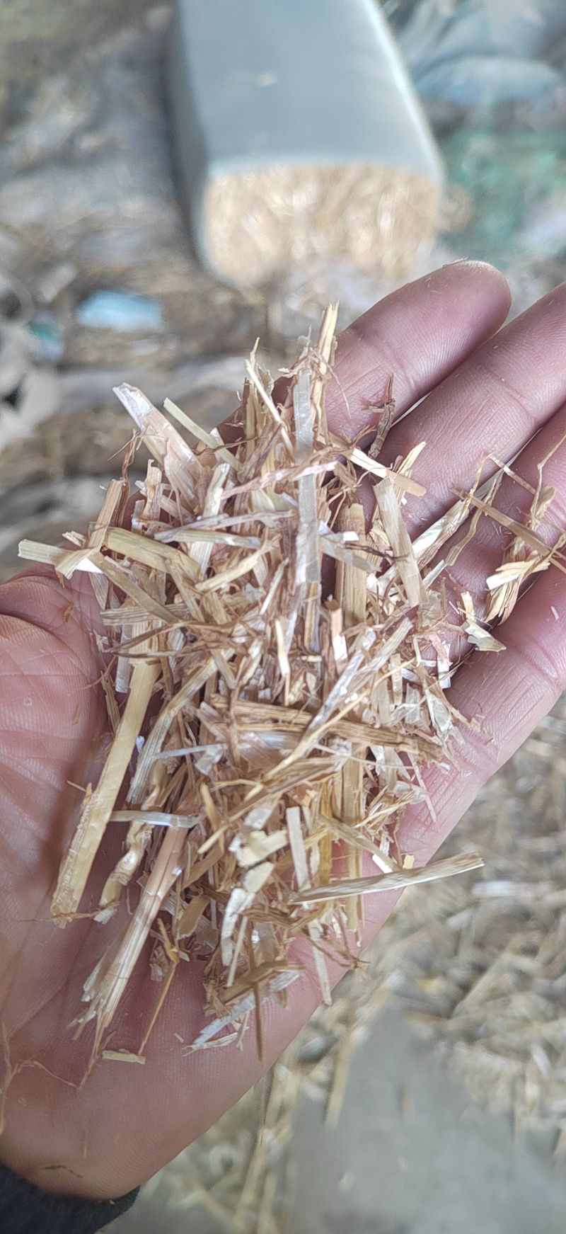 小麦秸秆小套袋，一手货源，保质保量，可视频看货，诚信经营
