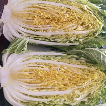 黄心大白菜，市场，电商，团购，赶集货，需要的老板联系