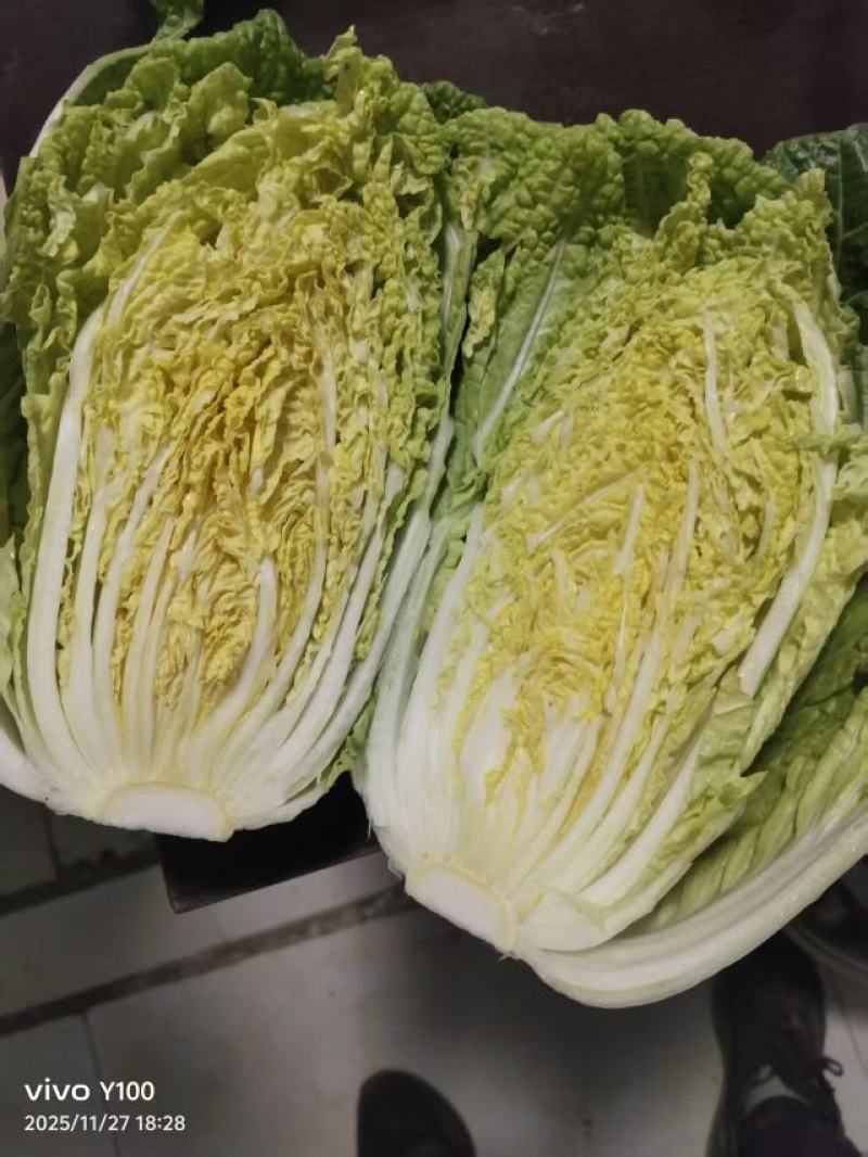 黄心大白菜，市场，电商，团购，赶集货，需要的老板联系