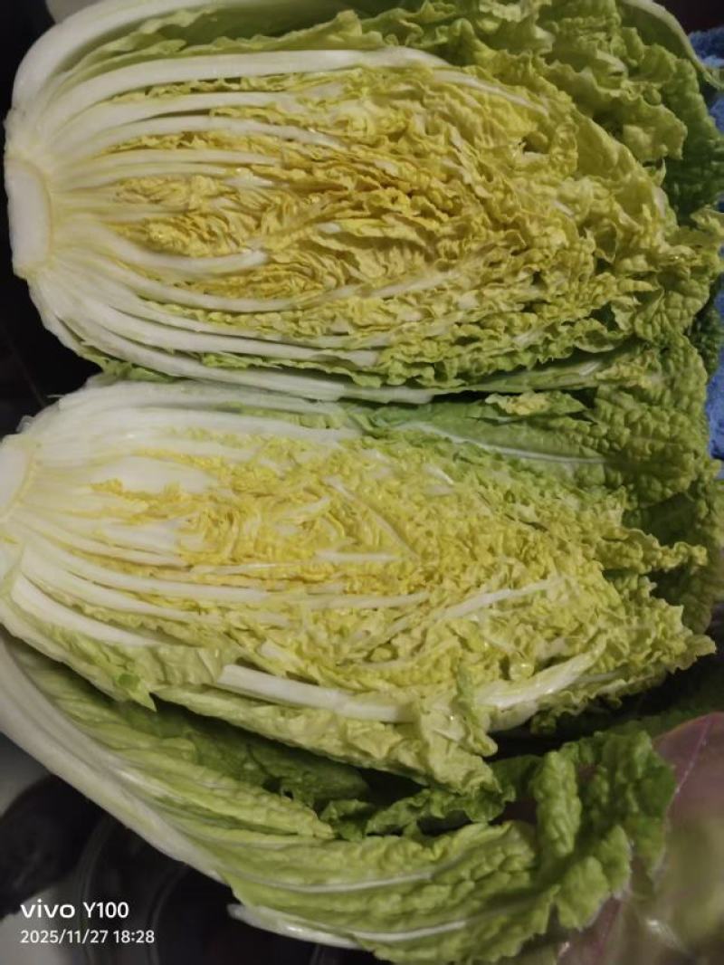 黄心大白菜，市场，电商，团购，赶集货，需要的老板联系