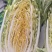 黄心大白菜，市场，电商，团购，赶集货，需要的老板联系