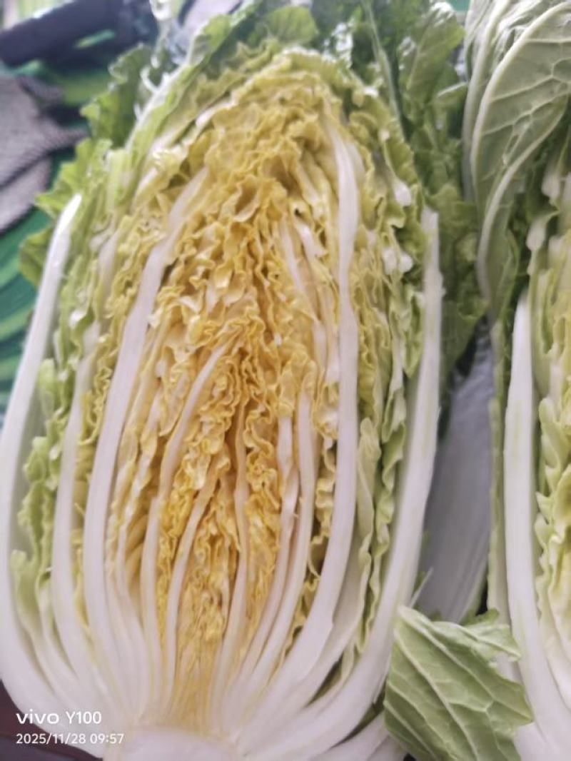 黄心大白菜，市场，电商，团购，赶集货，需要的老板联系