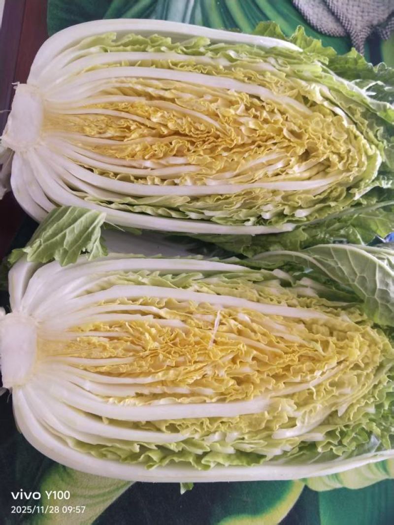 黄心大白菜，市场，电商，团购，赶集货，需要的老板联系