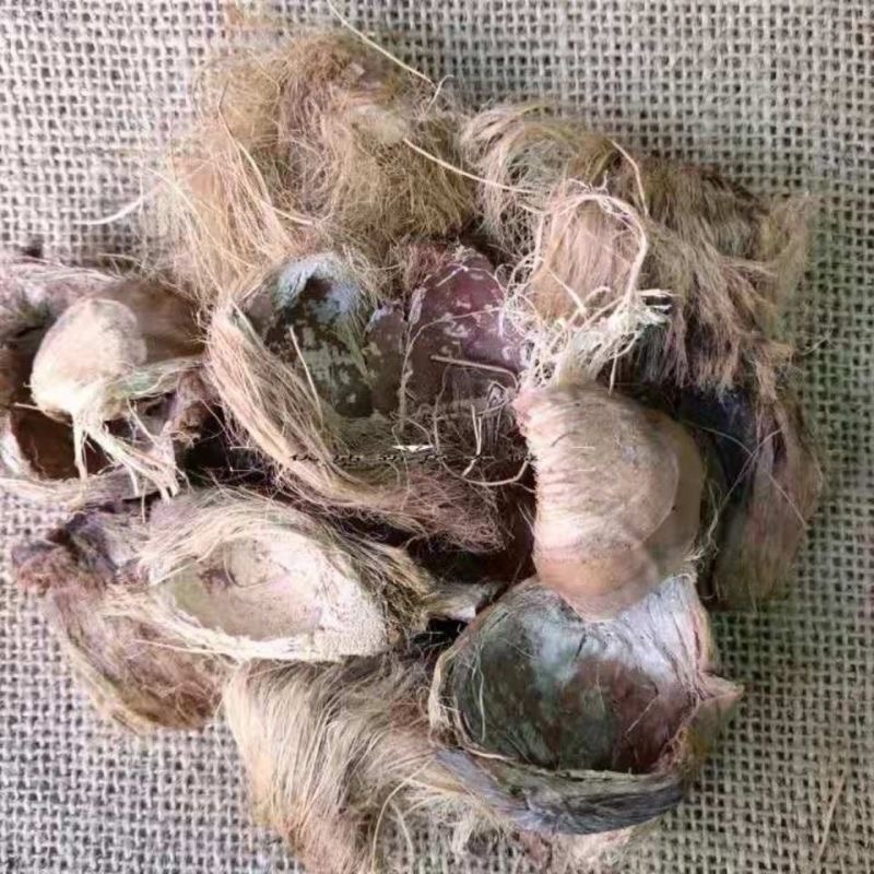 大腹皮大腹毛槟榔皮大腹毛槟榔壳中药材