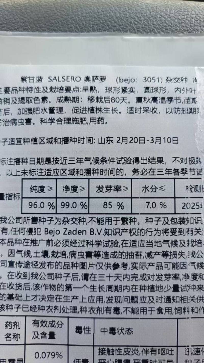 紫甘蓝种子代理，对接大中小种植户，早熟，颜色好