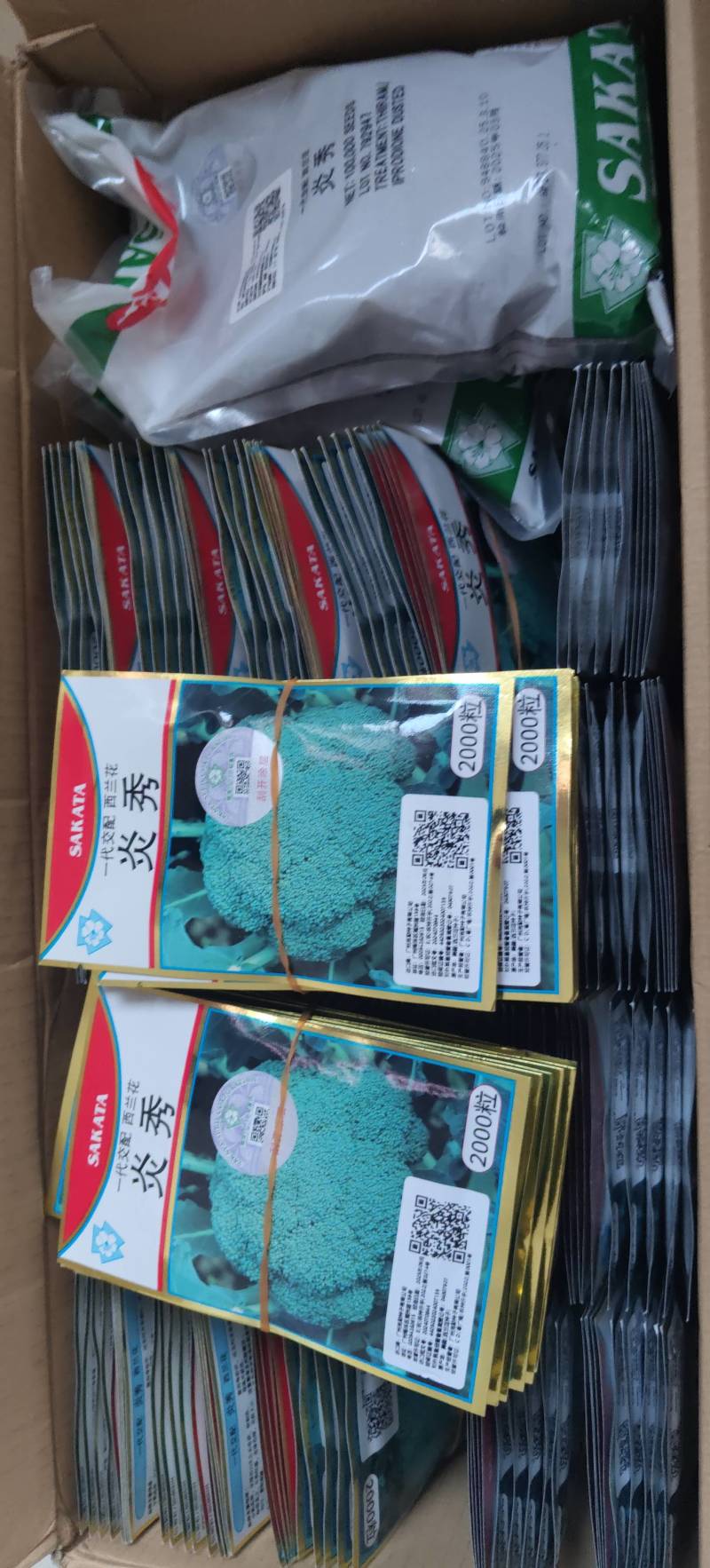 紫甘蓝种子代理，对接大中小种植户，早熟，颜色好