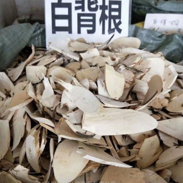白背根白背叶白膜根白朴根白背木中药材正品货好