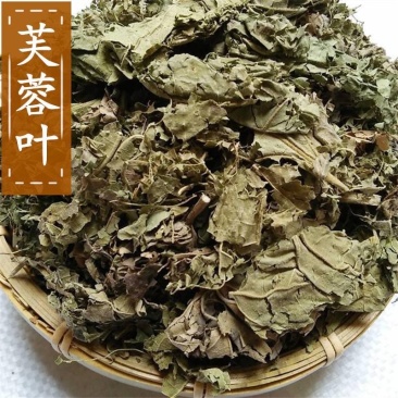 芙蓉根木芙蓉芙蓉树根小桐子根地蓉树根芙蓉叶中药材
