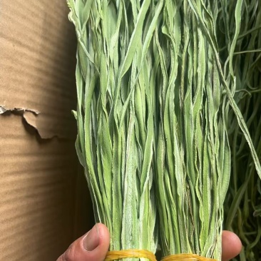 云南贡菜，量大价优，保质保量，产地直发，欢迎咨询