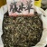 腹水草中药材多穗草两头爬爬崖红无硫