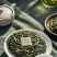 中国北茶海阳绿茶绿茶桑叶茶
