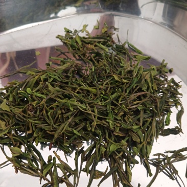 中国北茶海阳绿茶绿茶桑叶茶