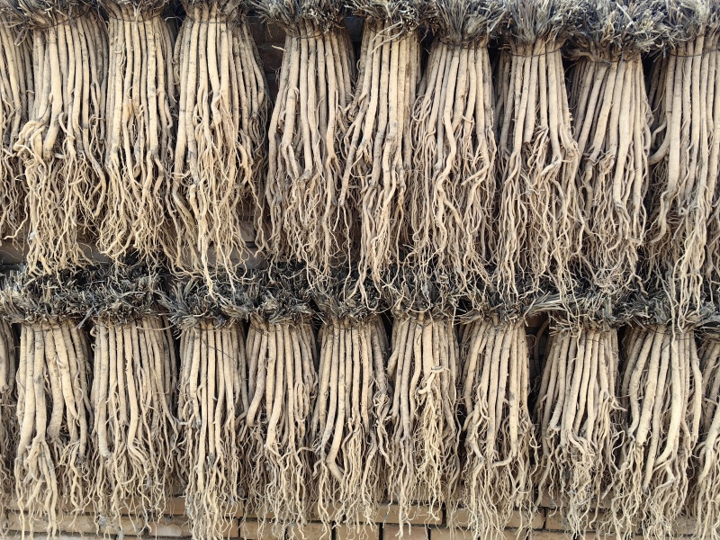 【产地直供】大西北高品质关防风，货源充足，量大从优！
