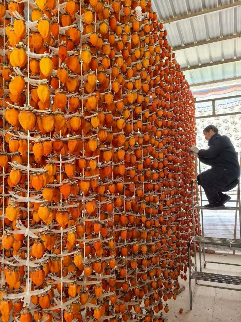 陕西富平柿饼大量批发