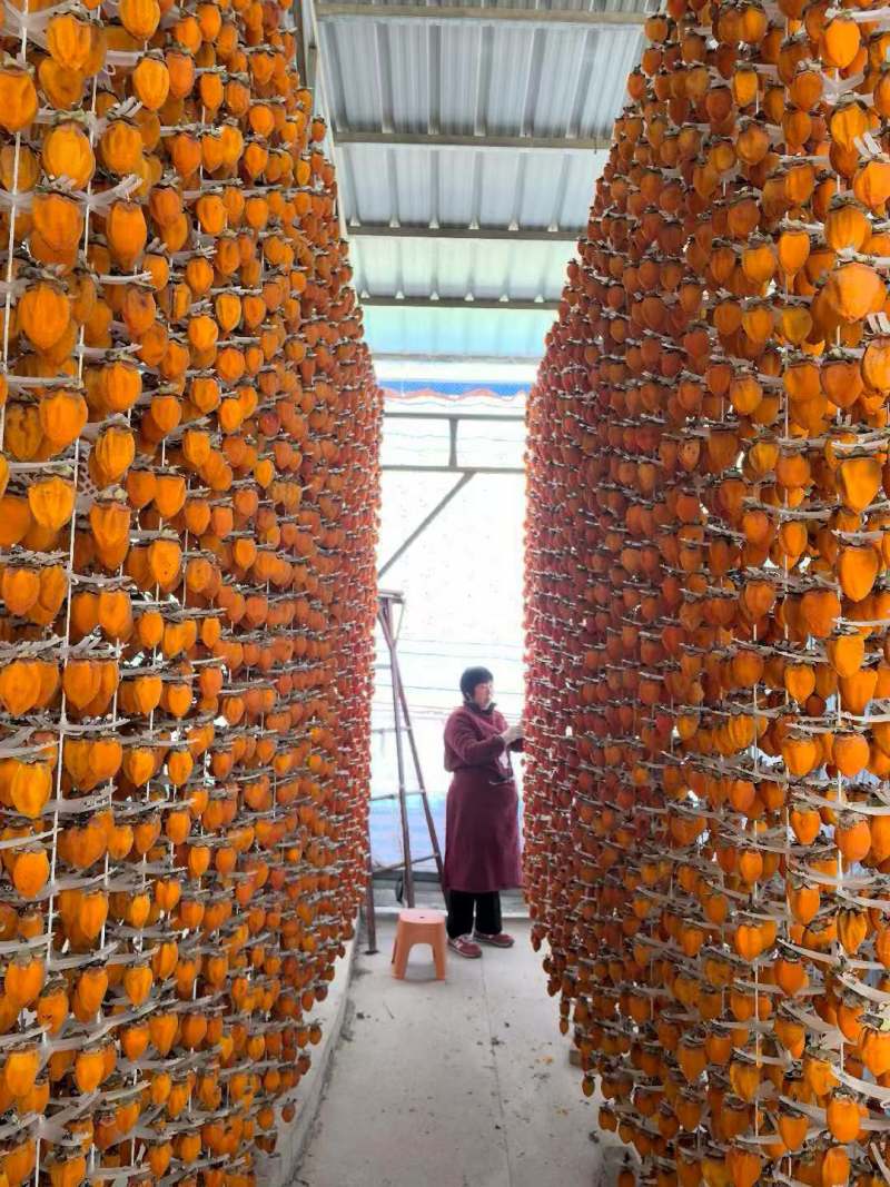 陕西富平柿饼大量批发