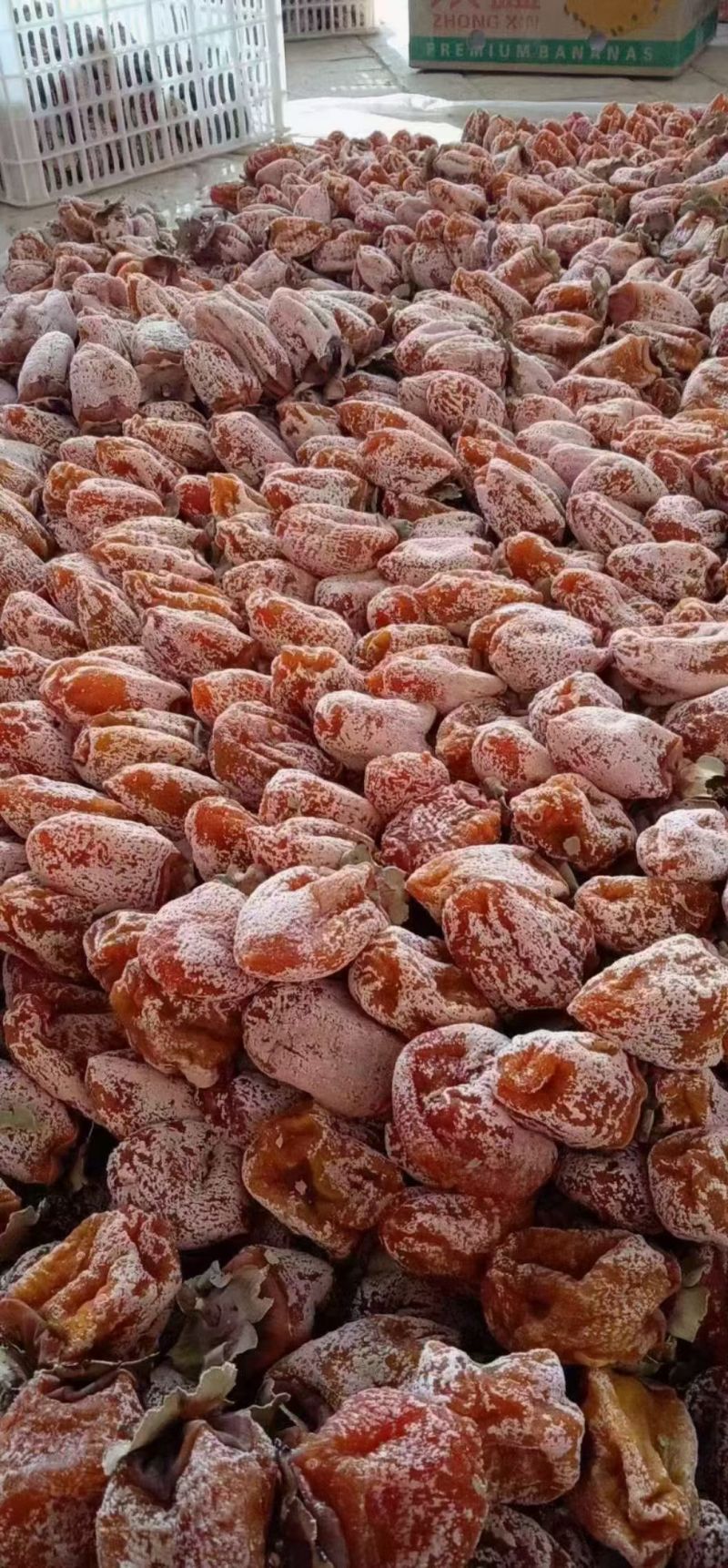 陕西富平柿饼大量批发